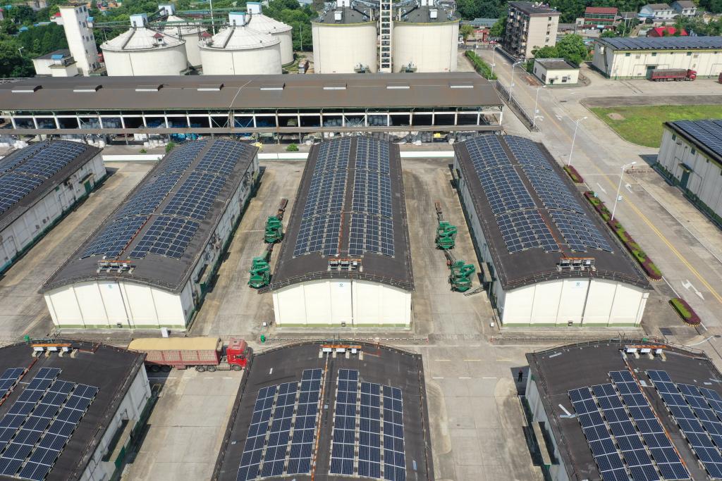 升級農(nóng)機(jī) 提質(zhì)糧倉——“雙搶”時節(jié)訪“雙庫”