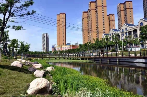 駐馬店:奏響文明強(qiáng)音 浸潤一城新風(fēng)