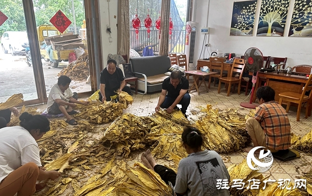 泌陽縣郭集鎮(zhèn)楊樹崗村駐村工作隊(duì)：發(fā)揮行業(yè)優(yōu)勢(shì) 助力群眾致富