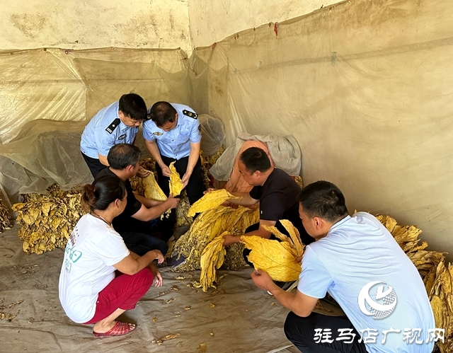 泌陽縣郭集鎮(zhèn)楊樹崗村駐村工作隊(duì)：發(fā)揮行業(yè)優(yōu)勢(shì) 助力群眾致富