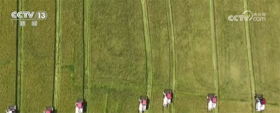 底盤穩(wěn)、消費旺 中國多舉措推動經(jīng)濟恢復(fù)向好