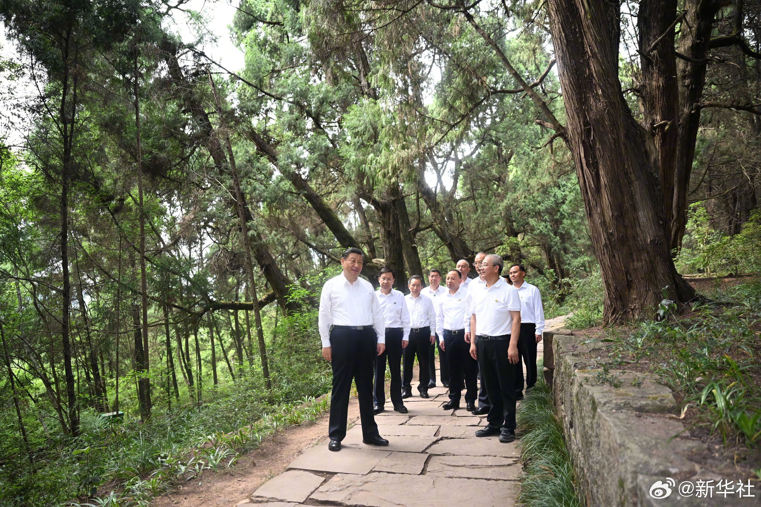 習近平在四川考察調(diào)研