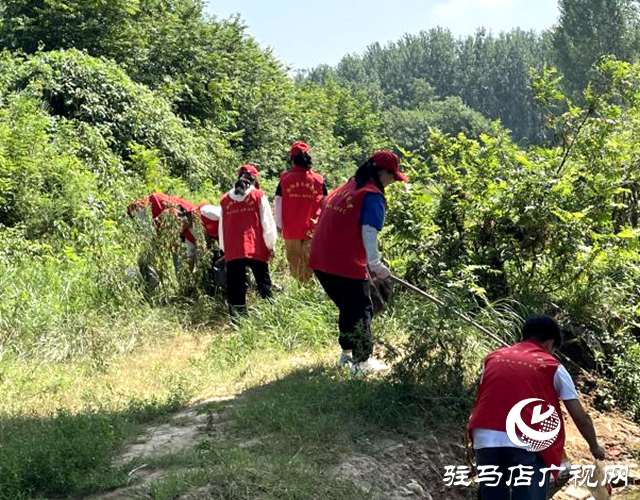 泌陽(yáng)縣盤古鄉(xiāng)：“河”我在一起 凈灘守護(hù)志愿行