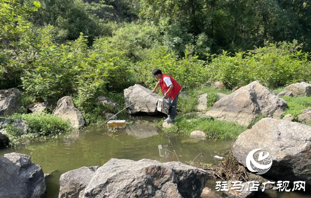 泌陽(yáng)縣盤古鄉(xiāng)：“河”我在一起 凈灘守護(hù)志愿行