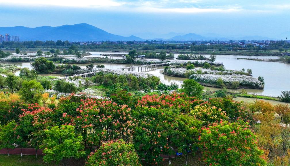新聞多一點丨天漢濕地公園：漢中綠水青山生態(tài)畫卷的“城市名片”