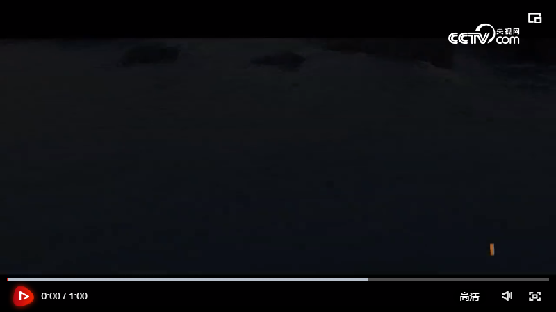 強(qiáng)軍之路 | 超震撼！鯤鵬與飛鯊首次同框