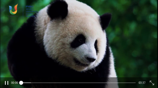 青春主場 | 一起來接收來自全世界青年的追捧和助力！