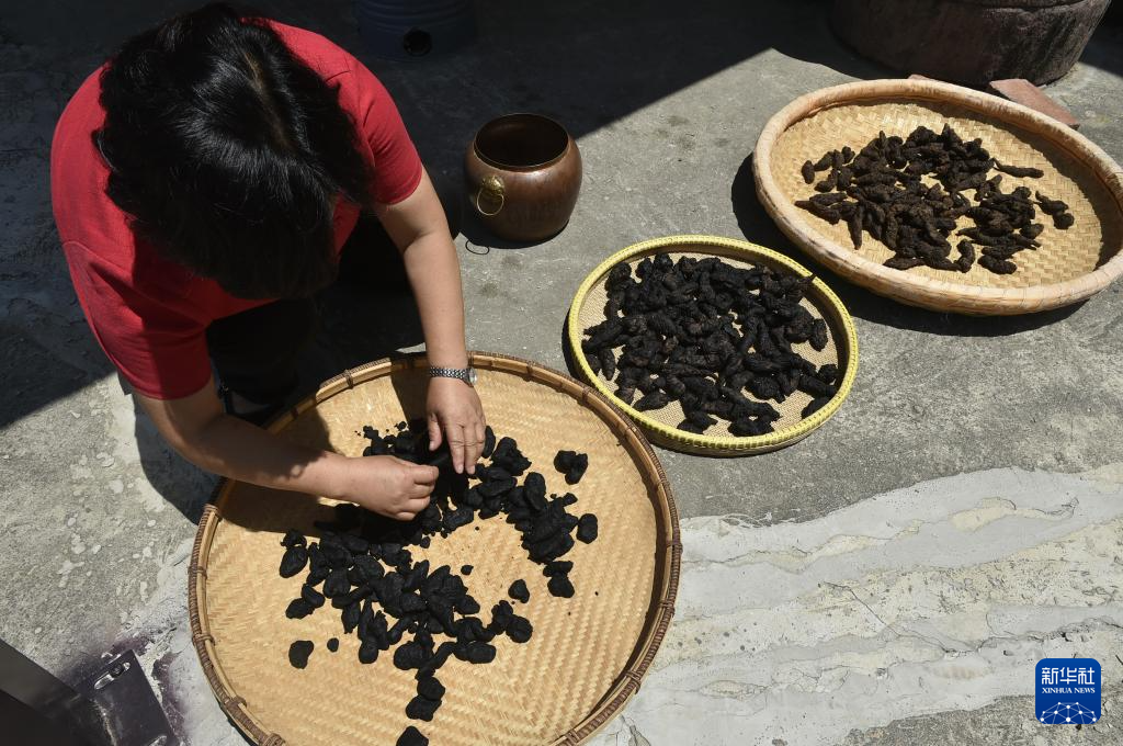 走進(jìn)技藝傳習(xí)館 感受中藥材加工