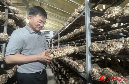 跟著總書(shū)記看中國(guó)丨浙江科技特派員:把論文寫(xiě)在大地上 把成果留在百姓家