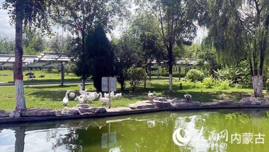 跟著總書記看中國|呼和浩特中環(huán)產(chǎn)業(yè)園大力發(fā)展綠色能源