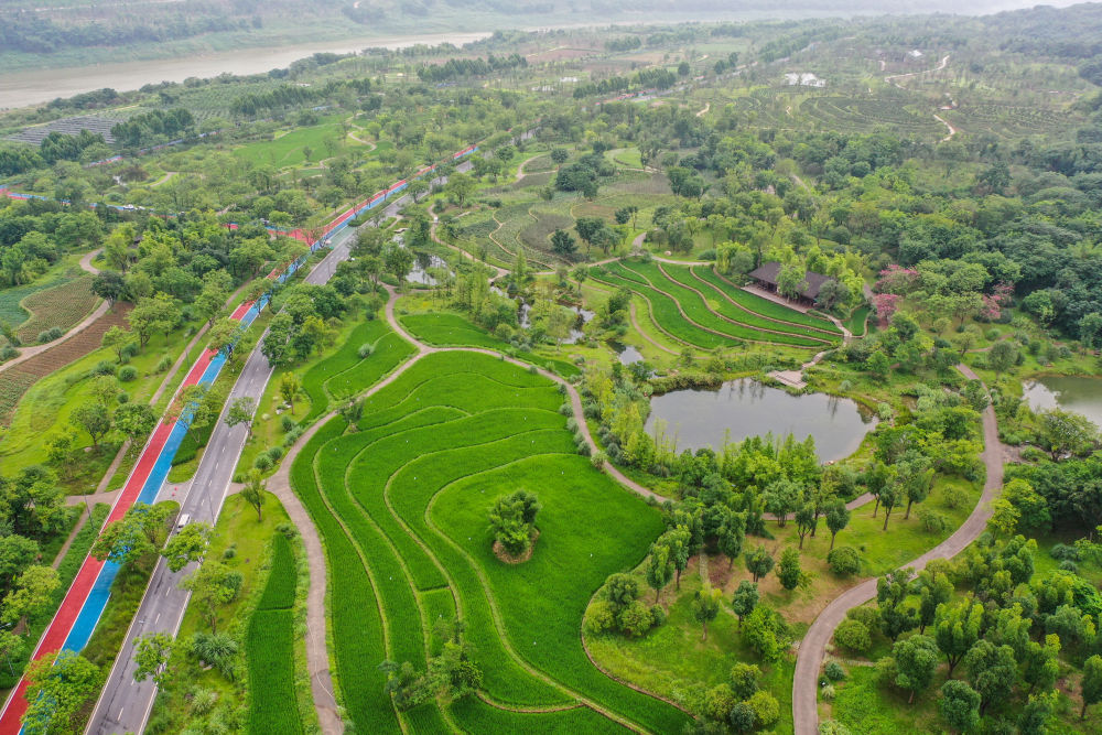 鏡觀·領(lǐng)航丨母親河的保護(hù)與發(fā)展，總書(shū)記這樣把脈定向
