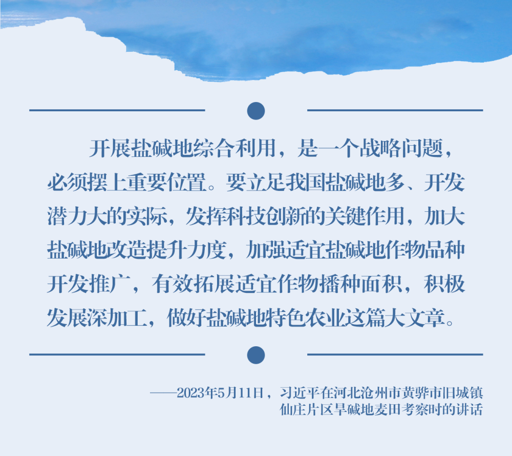 鏡觀·領(lǐng)航丨習(xí)近平:統(tǒng)籌山水林田湖草沙系統(tǒng)治理