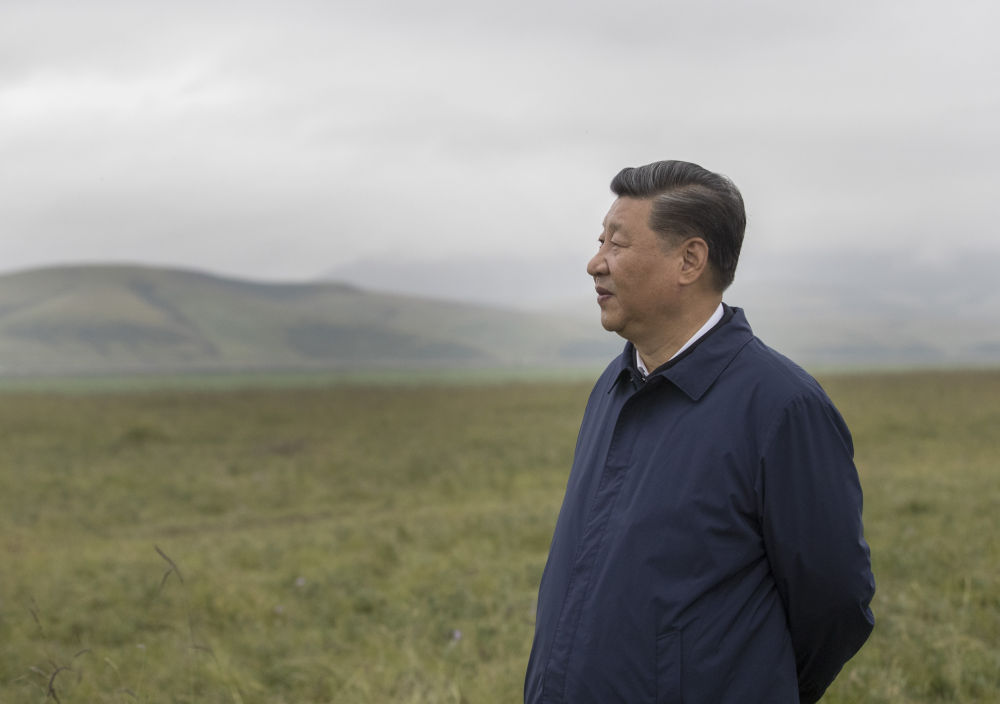 鏡觀·領(lǐng)航丨習(xí)近平:統(tǒng)籌山水林田湖草沙系統(tǒng)治理