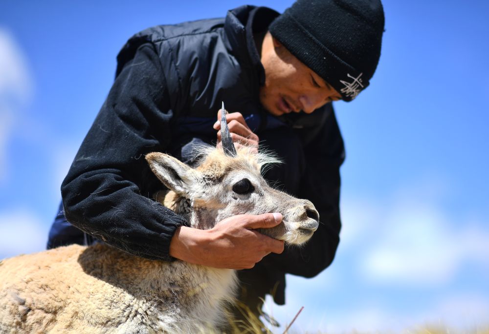 鏡觀中國丨建設(shè)美麗中國 護(hù)綠水青山“金飯碗”