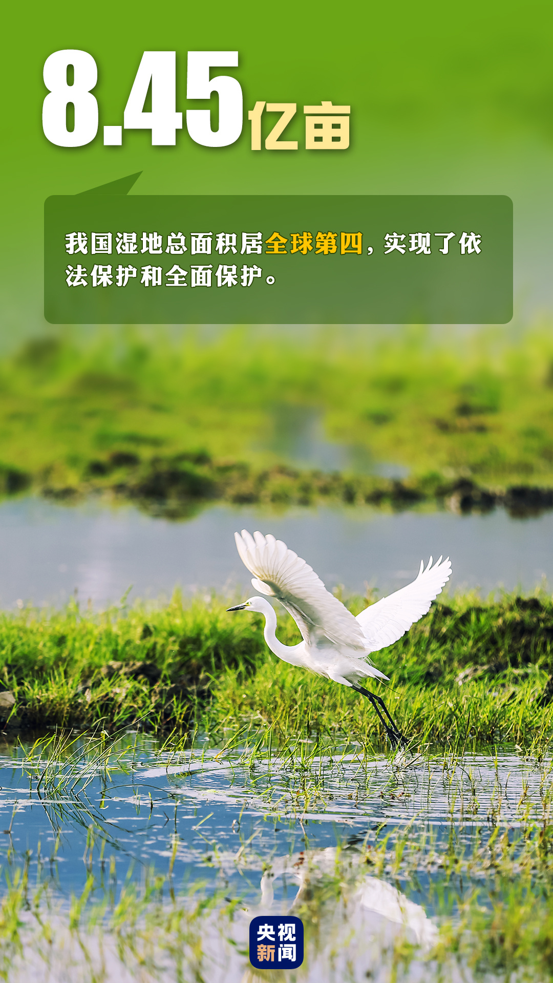首個(gè)“全國生態(tài)日”來了！一組數(shù)據(jù)帶你看美麗中國新畫卷