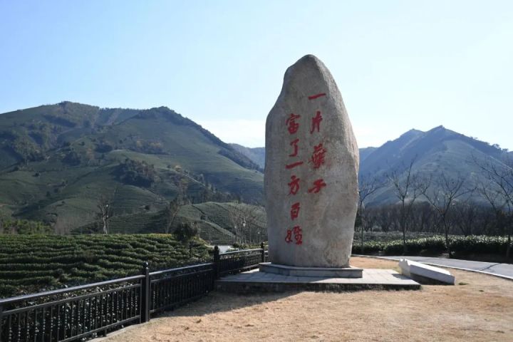 第一視點(diǎn)丨之江評(píng):山河共此青綠