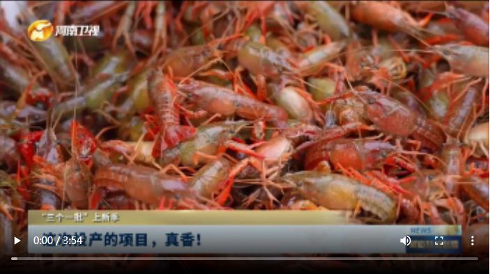 這次投產(chǎn)的項(xiàng)目，真香！| “三個(gè)一批”上新季