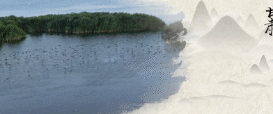 視頻長卷|情系山水間