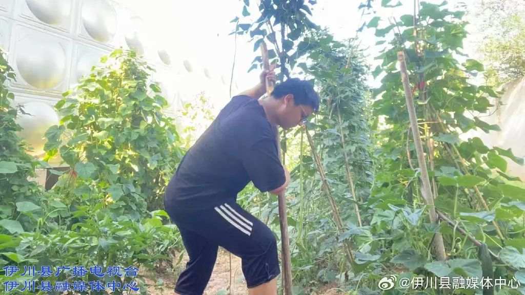 了不起！河南伊川這家敬老院里，走出個(gè)大學(xué)生