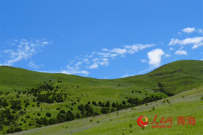 行走國(guó)家公園|季夏瀾滄江源 昂賽綠意盎然