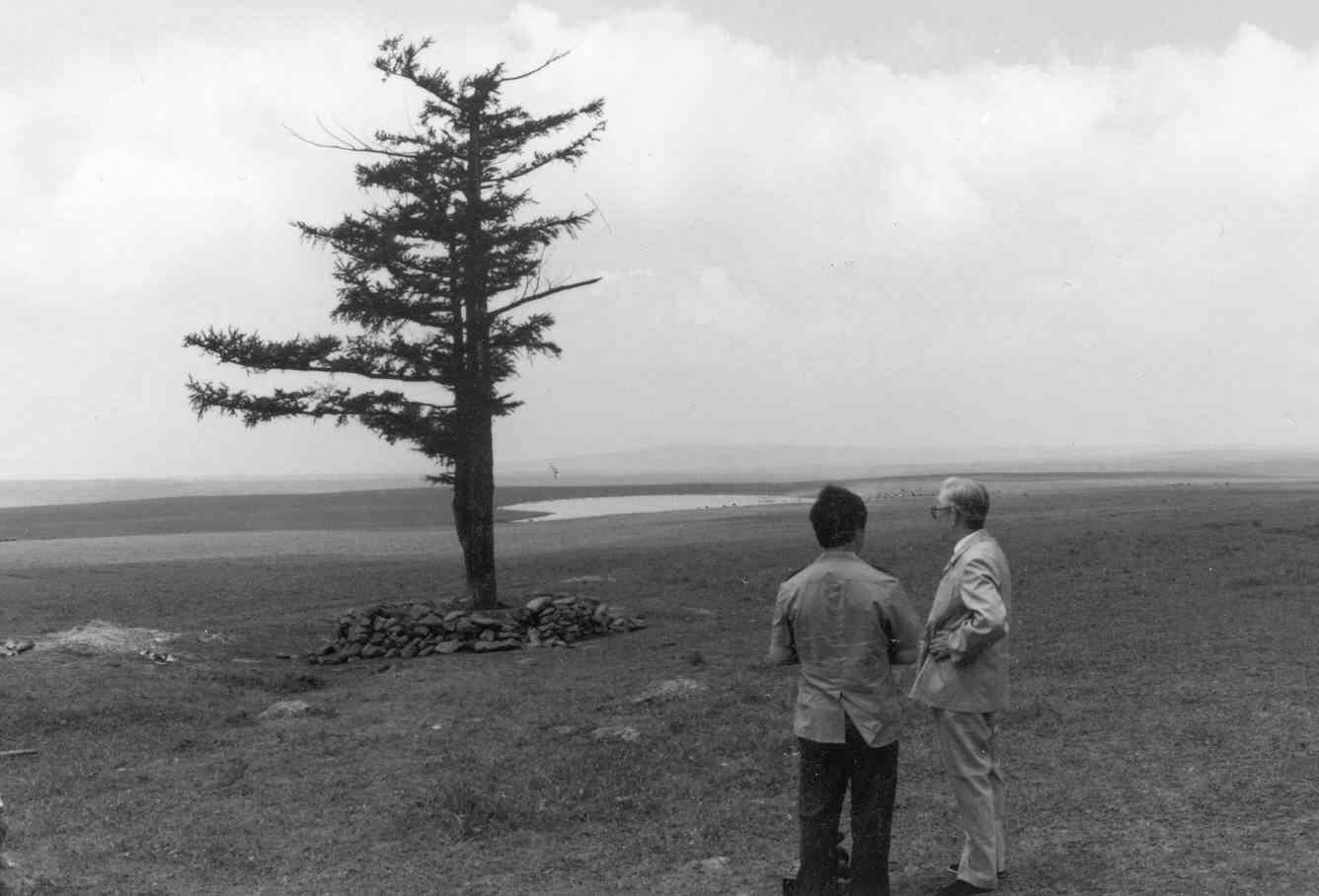 綠水青山帶笑顏丨一棵松繁衍出一片“?！? /></p>
<p>60多年前，塞罕壩是一片高原荒漠，“黃沙遮天日，飛鳥無棲樹”，如今森林覆蓋率達(dá)到82%。2017年8月，習(xí)近平總書記稱贊塞罕壩林場是“推進(jìn)生態(tài)文明建設(shè)的一個生動范例”。</p>
<p style=