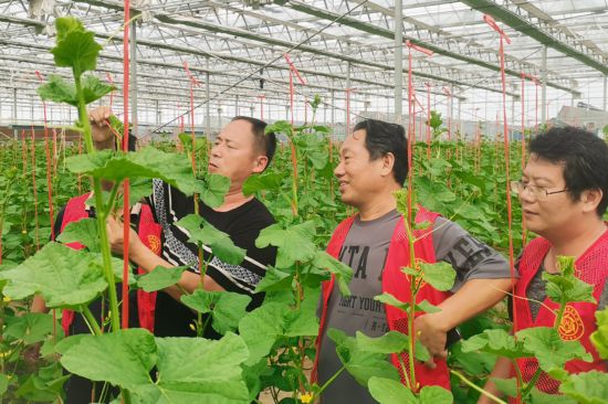 跟著總書記看中國|新發(fā)地:托穩(wěn)首都“菜籃子” 打造新消費(fèi)活力之地