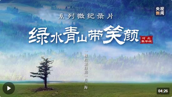 綠水青山帶笑顏丨一棵松繁衍出一片“?！? width=