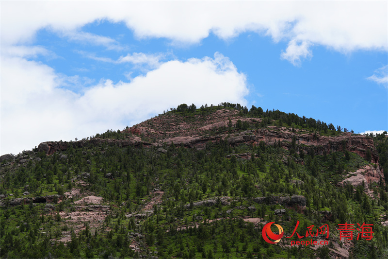 行走國(guó)家公園|季夏瀾滄江源 昂賽綠意盎然