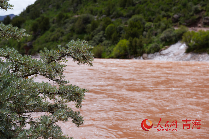 行走國(guó)家公園|季夏瀾滄江源 昂賽綠意盎然