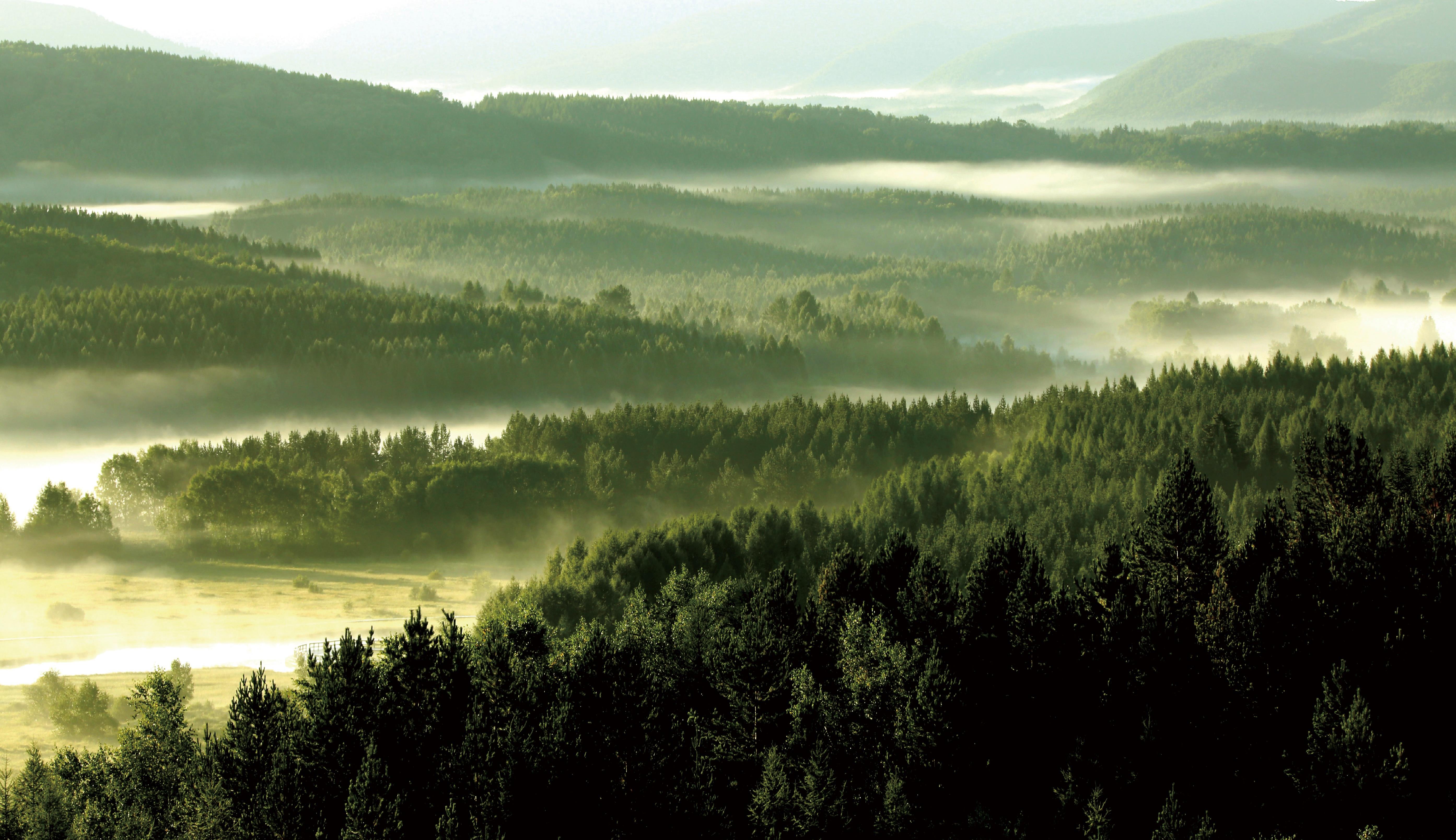 綠水青山帶笑顏丨一棵松繁衍出一片“?！? /></p>
<p>從“一棵松”到百萬畝人工綠海，塞罕壩每棵樹的年輪里都蘊(yùn)含著中國生態(tài)文明的發(fā)展進(jìn)程。</p>
<p style=