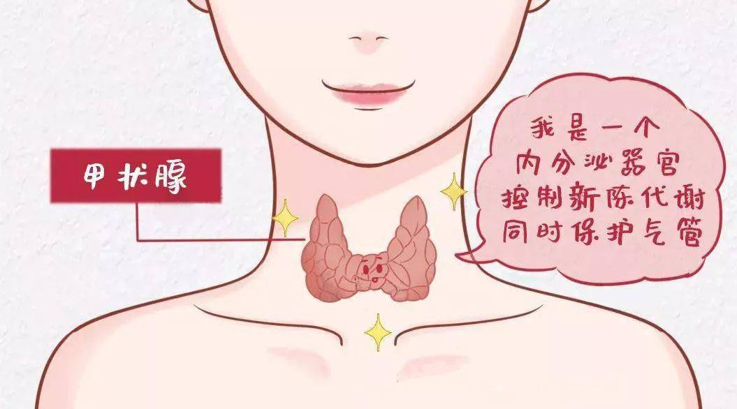 漲健識 | 甲狀腺結(jié)節(jié)真的那么恐怖嗎？