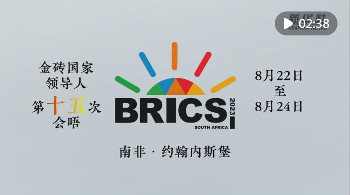 快閃數(shù)說(shuō)｜金磚的成色有多足？