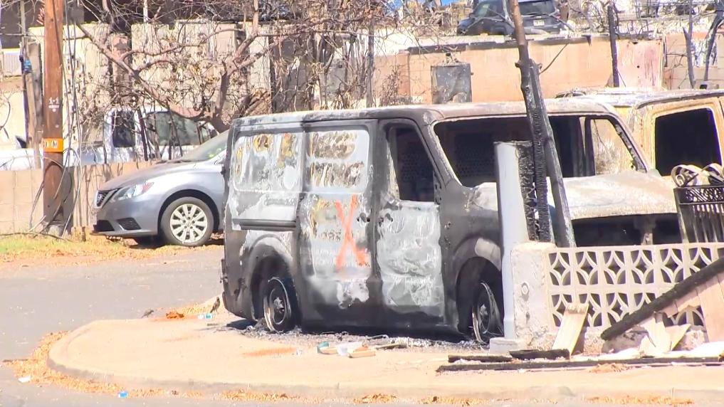 記者直擊：夏威夷野火是怎么釀成的？???????