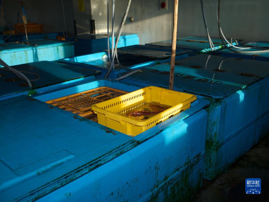 綜述:福島民眾反對(duì)日本政府決定啟動(dòng)核污染水排海