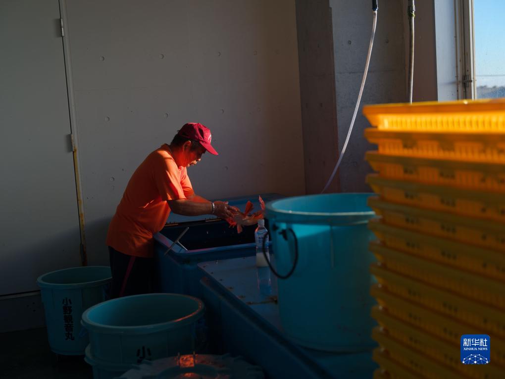 綜述:福島民眾反對(duì)日本政府決定啟動(dòng)核污染水排海