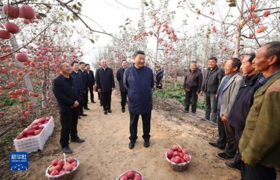 跟著總書記看中國|山溝溝里日子越過越紅火