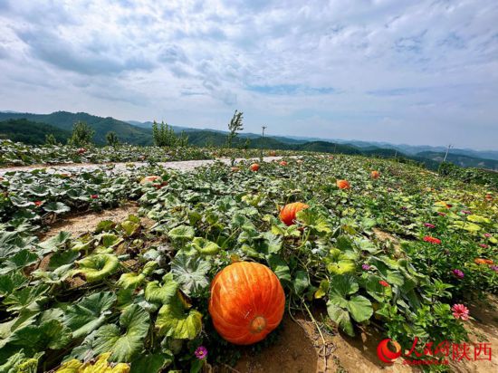 跟著總書記看中國|山溝溝里日子越過越紅火