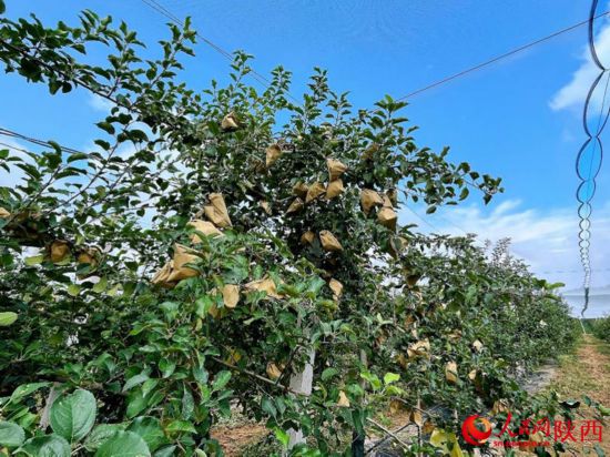 跟著總書記看中國|山溝溝里日子越過越紅火