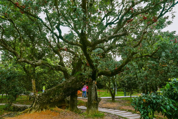 “奮躍而上·2023總書記考察年中回望”系列報(bào)道之一 牢記總書記囑托 在中國式現(xiàn)代化建設(shè)中走在前列