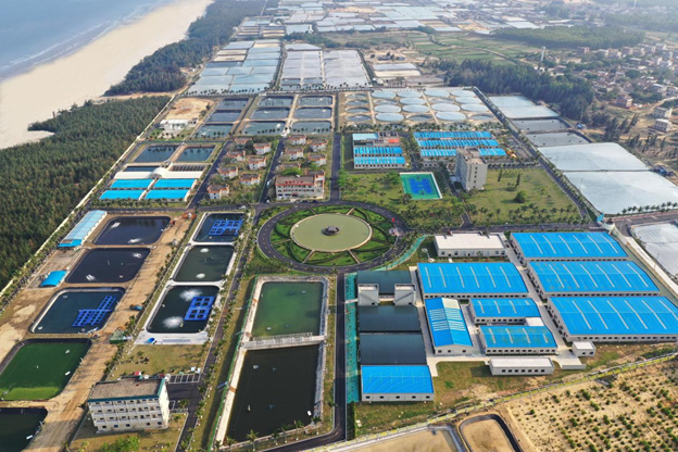 “奮躍而上·2023總書記考察年中回望”系列報(bào)道之一 牢記總書記囑托 在中國式現(xiàn)代化建設(shè)中走在前列