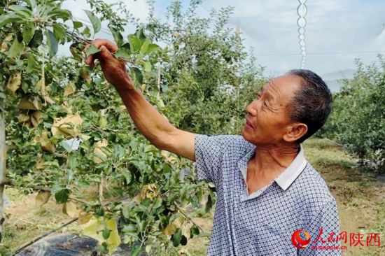 跟著總書記看中國|山溝溝里日子越過越紅火
