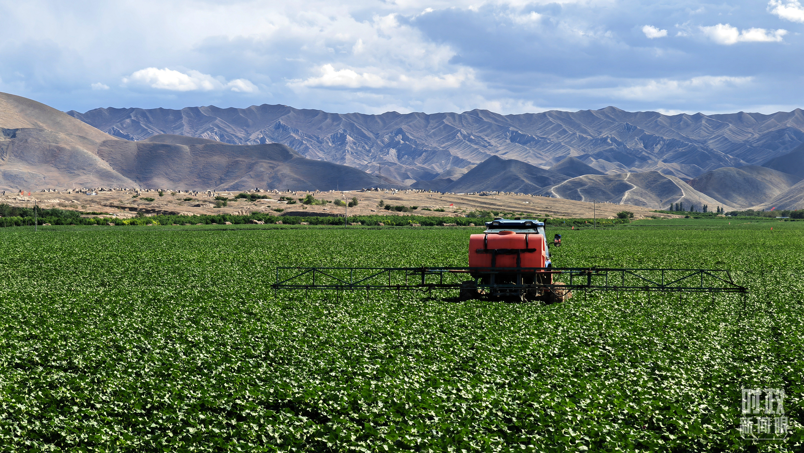 時(shí)政新聞眼丨在烏魯木齊專門(mén)聽(tīng)取匯報(bào)，習(xí)近平對(duì)新疆工作作出這些重要部署