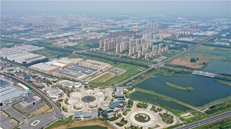 “星光豫亮 精神長青”系列調研報告之一 | 焦桐樹下風景新