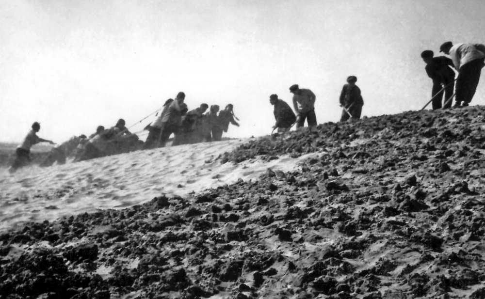 特刊丨星光豫亮 精神長青 精神之光照亮前進之路