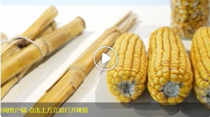 聯(lián)播新說 | 獨(dú)家揭秘：玉米秸稈做成的衣服長啥樣？