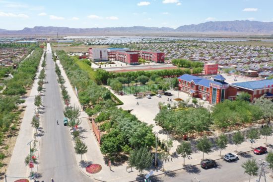 跟著總書記看中國｜“拔掉窮根把花栽，美得喲沙漠變花海”