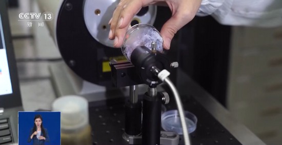 氣溫下降還需防曬嗎？物理防曬霜和化學防曬霜該如何選擇？一文了解