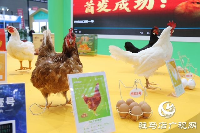 聚焦農加會 各地土特產(chǎn)驚艷亮相