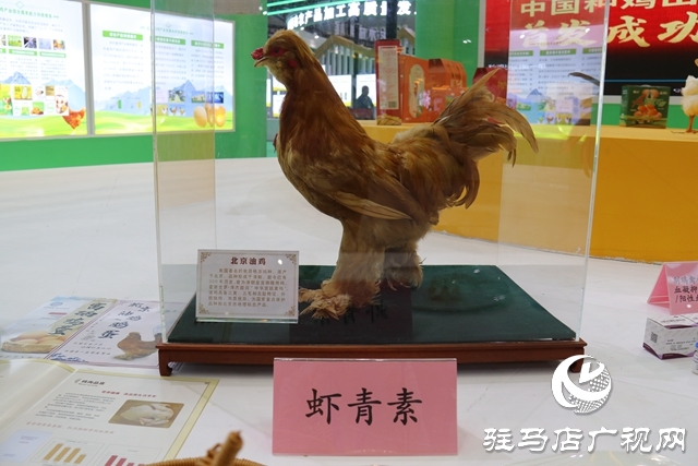 聚焦農加會 各地土特產(chǎn)驚艷亮相