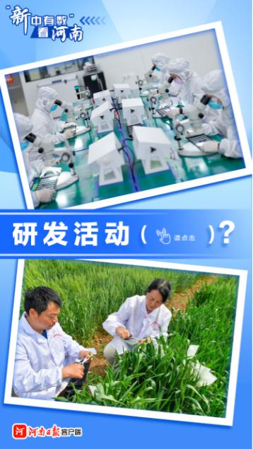 動海報丨“新中有數”看河南